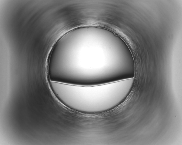 X0000093741479200710160740