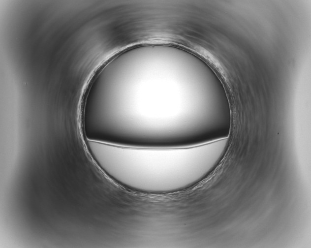 X0000093741480200710160740