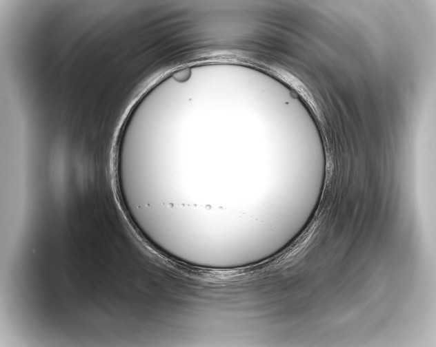 X0000093741482200710160740