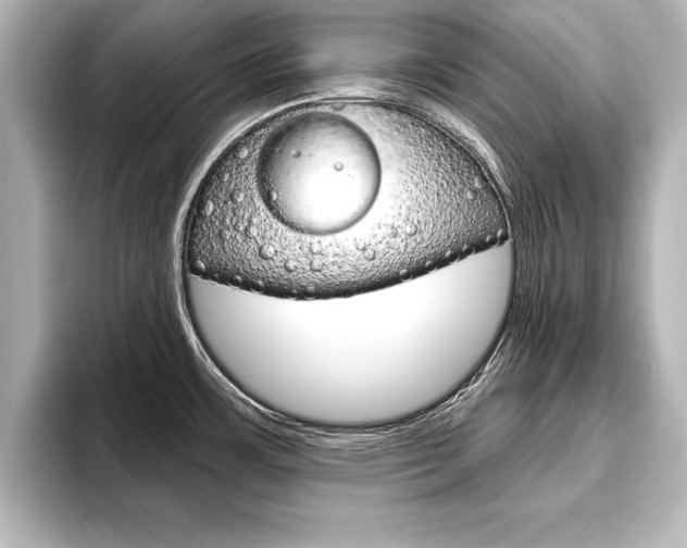 X0000093741483200710160740