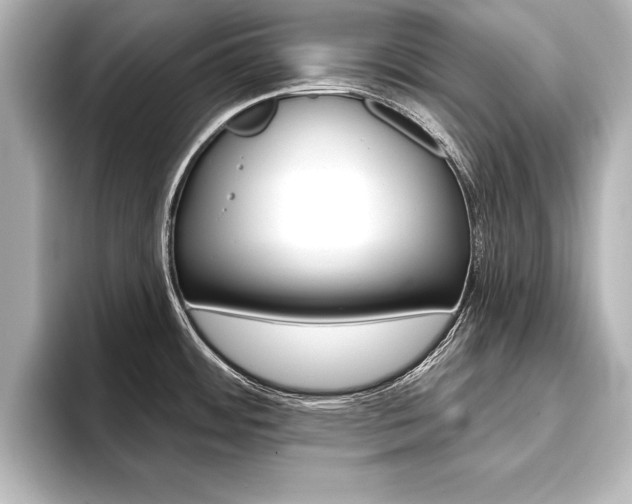 X0000093741484200710160740