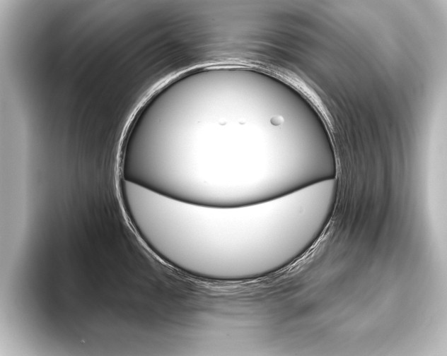 X0000093741485200710160740