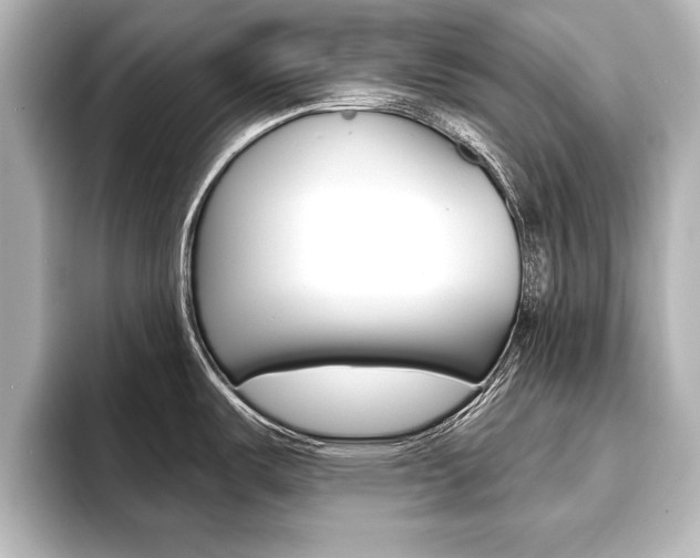 X0000093741487200710160740