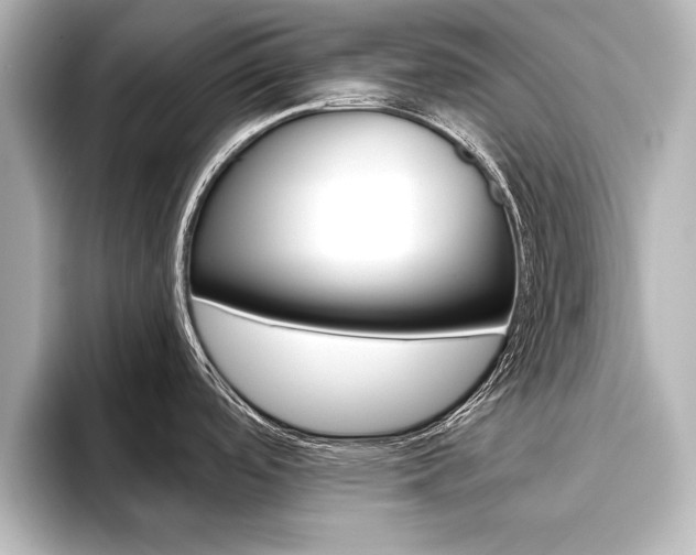 X0000093741488200710160740