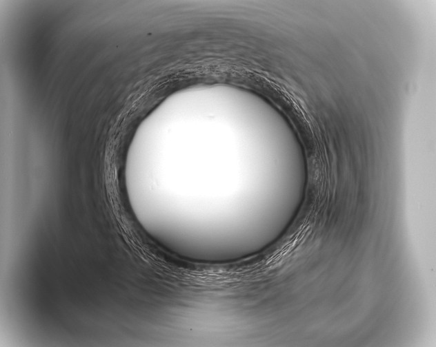X0000093741489200710160739