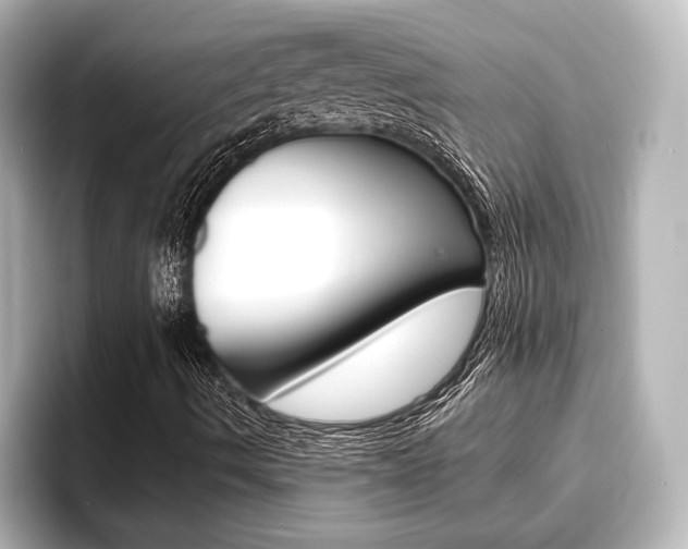 X0000093741490200710160739
