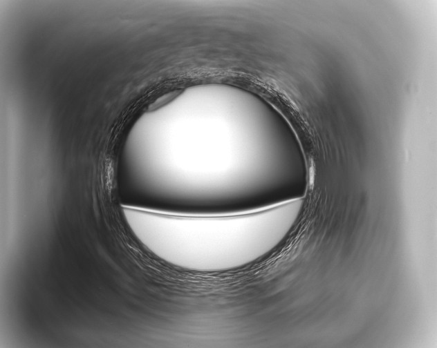 X0000093741492200710160739
