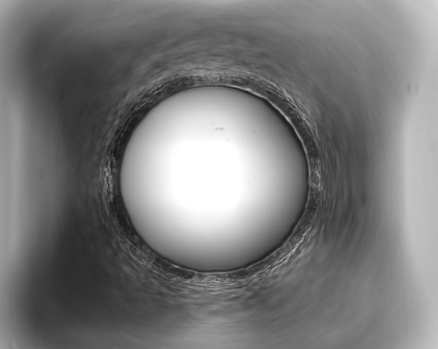 X0000093741493200710160739