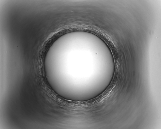 X0000093741494200710160739
