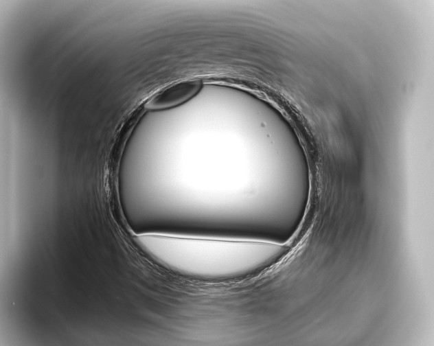 X0000093741497200710160739