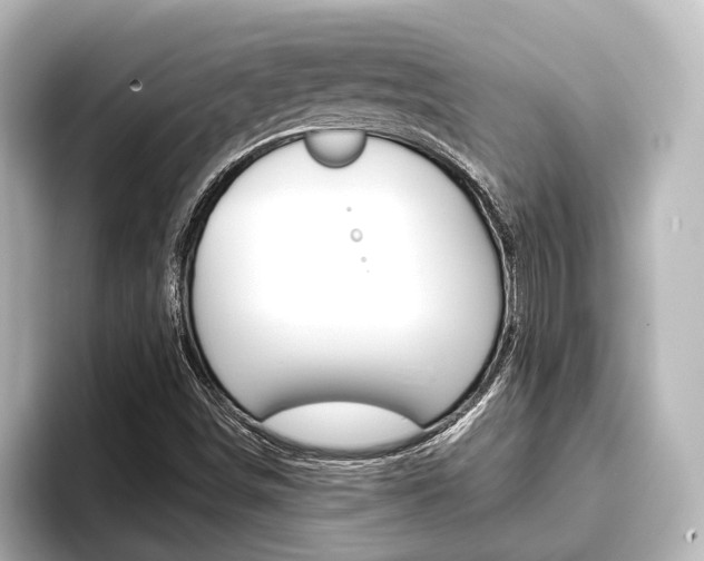 X0000093741498200710160739