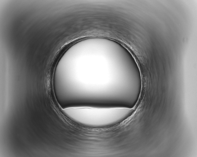 X0000093741499200710160739