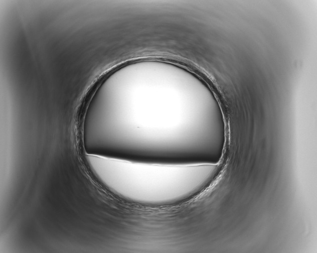 X0000093741501200710160739
