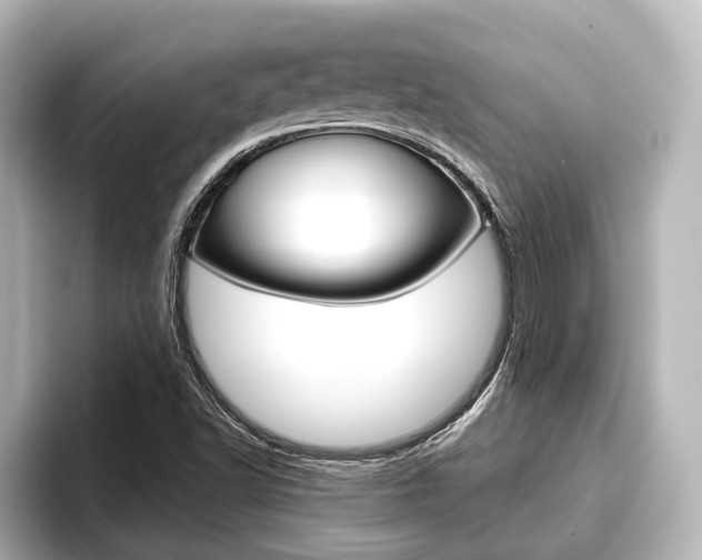 X0000093741502200710160739