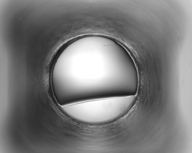 X0000093741503200710160739
