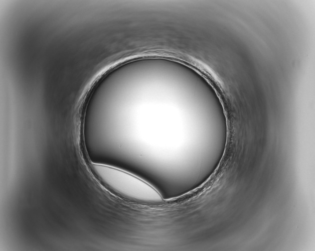 X0000093741504200710160739