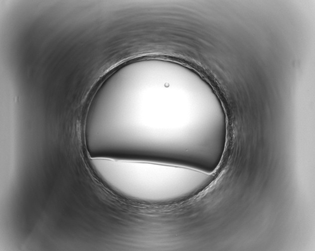 X0000093741505200710160739