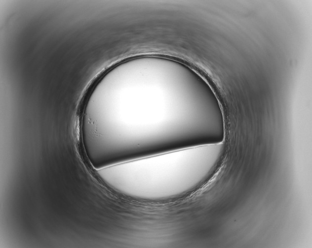 X0000093741509200710160739