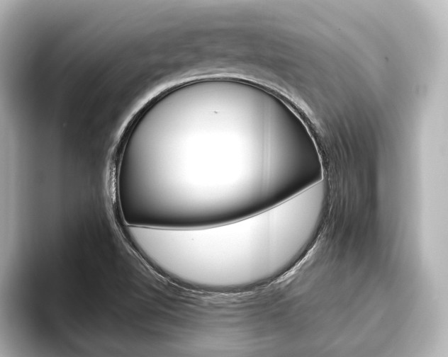 X0000093741510200710160739