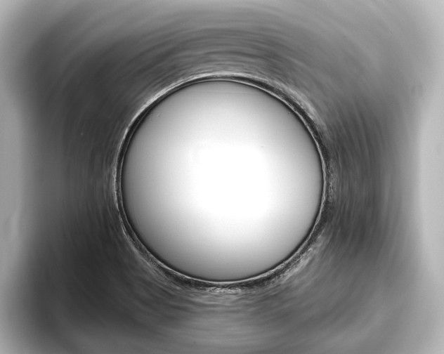 X0000093741513200710160739