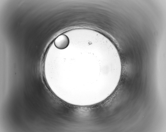 X0000093741514200710160739