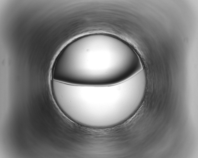 X0000093741516200710160739
