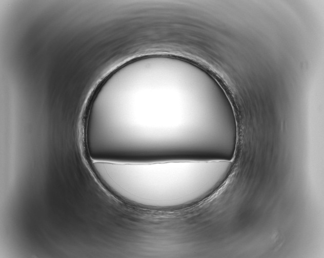 X0000093741517200710160739