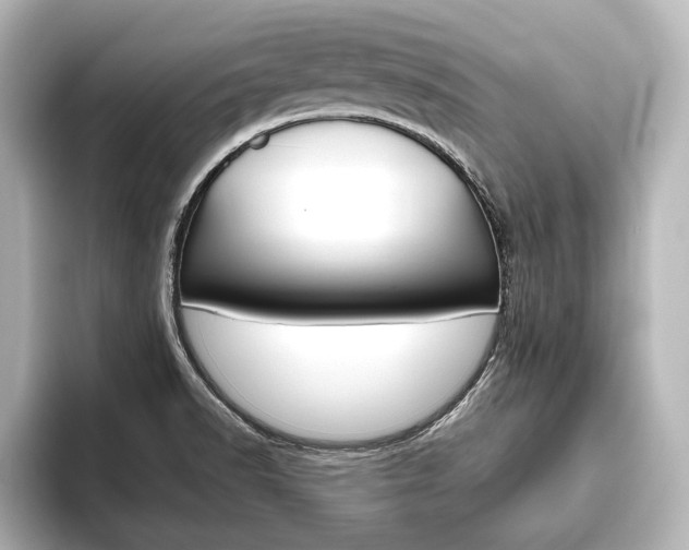 X0000093741518200710160739