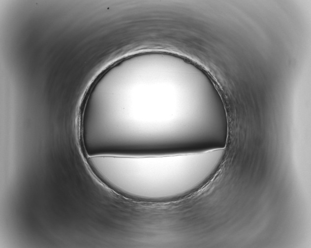 X0000093741519200710160739