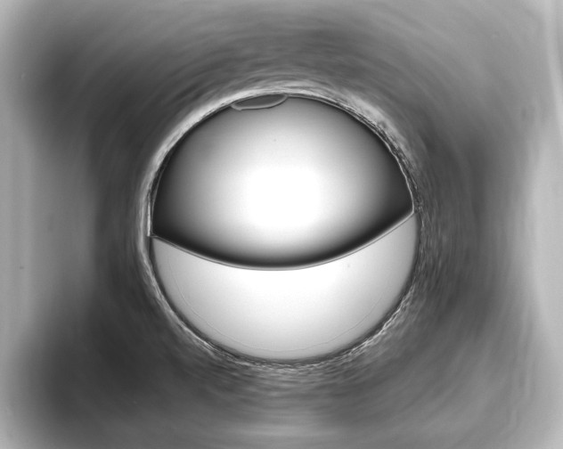 X0000093741520200710160739