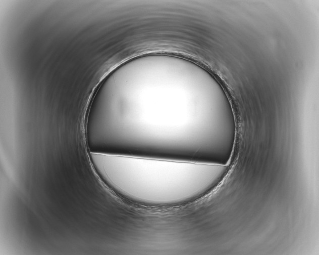 X0000093741521200710160739