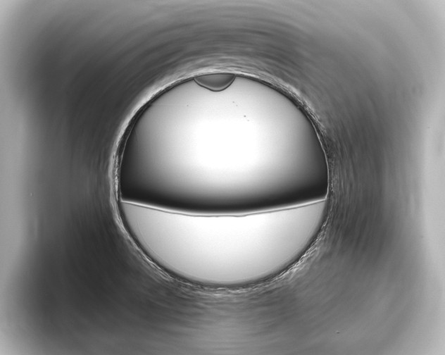 X0000093741522200710160739