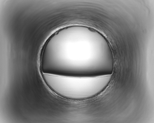X0000093741523200710160739