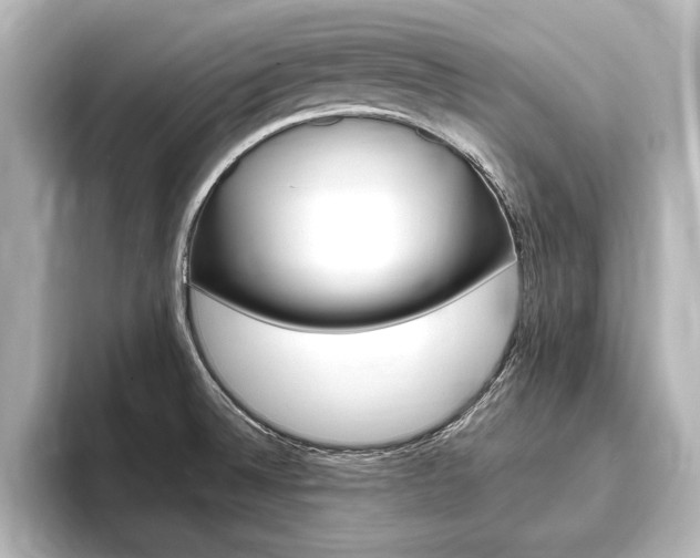 X0000093741524200710160739