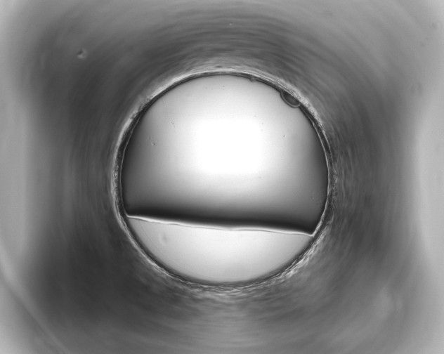 X0000093741525200710160739