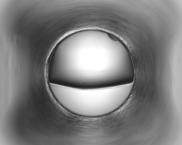 X0000093741526200710160739