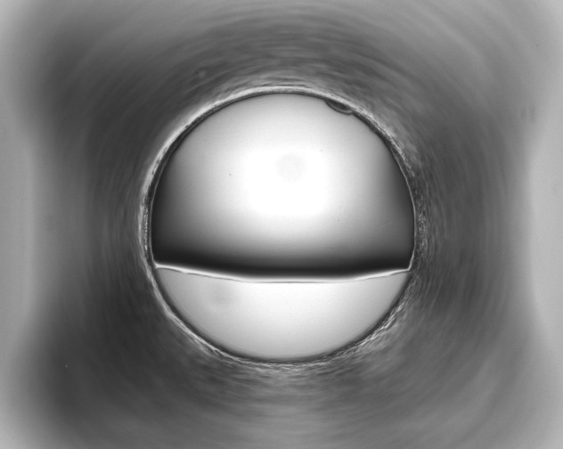 X0000093741527200710160739