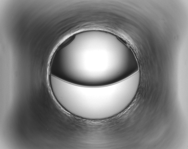X0000093741528200710160739