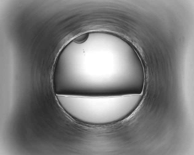 X0000093741529200710160740