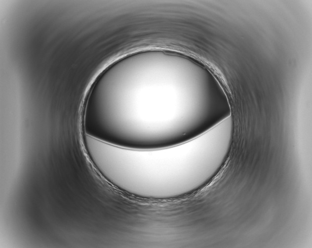 X0000093741530200710160740