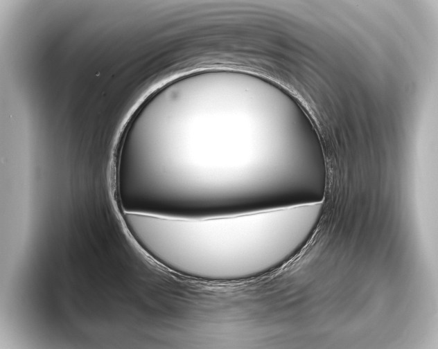 X0000093741531200710160740