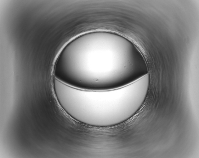 X0000093741532200710160740
