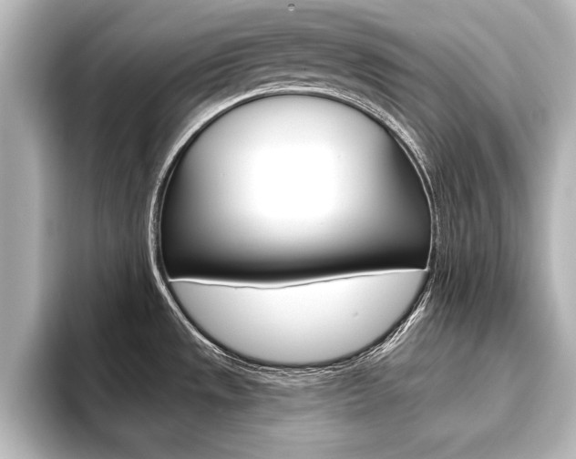 X0000093741533200710160740