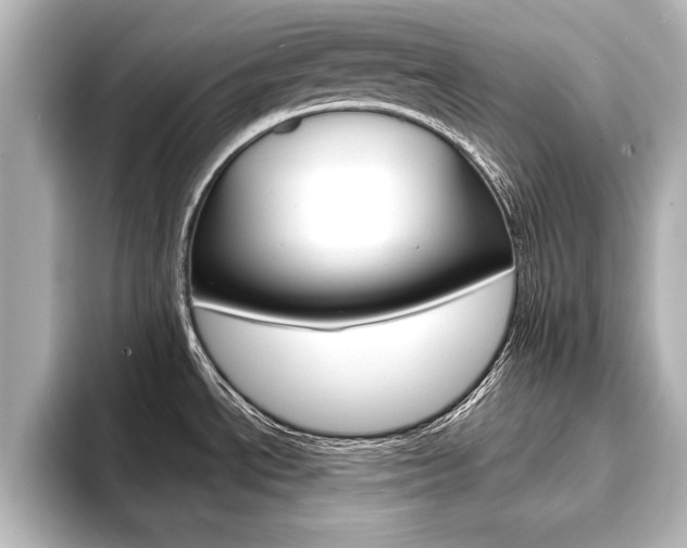 X0000093741534200710160740