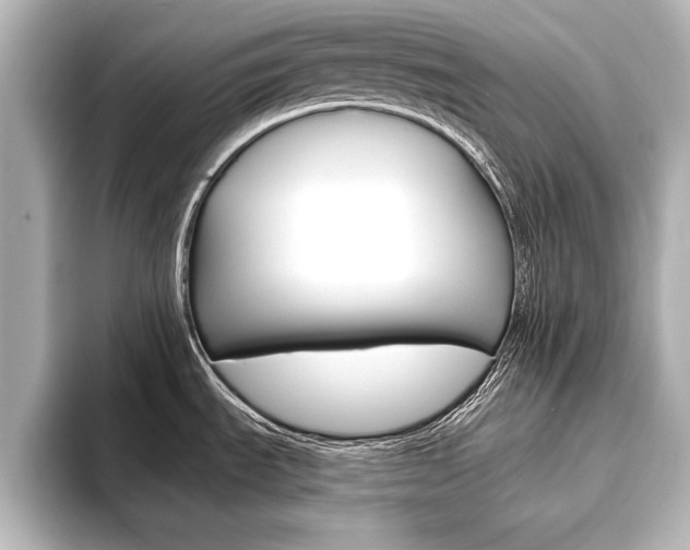 X0000093741535200710160740