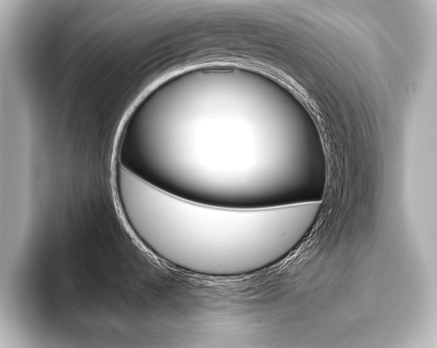 X0000093741536200710160740