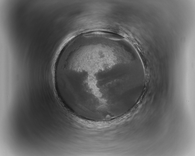 X0000093740006200710161147