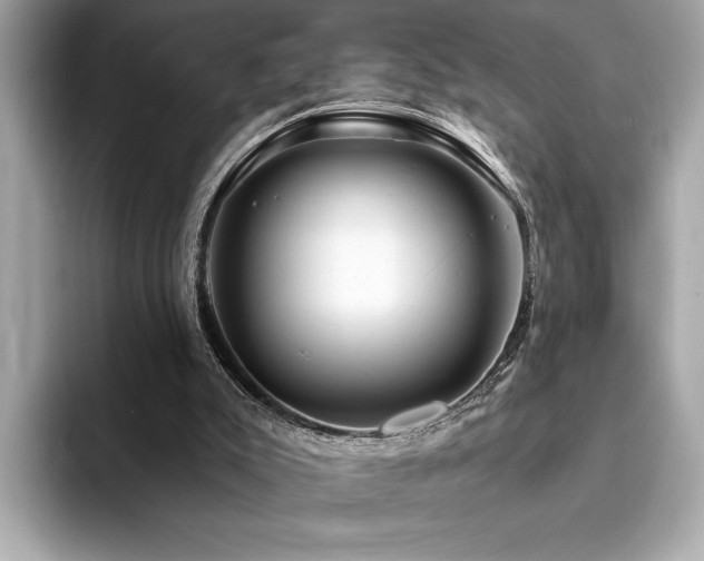 X0000093740007200710161147