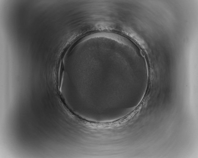 X0000093740009200710161147