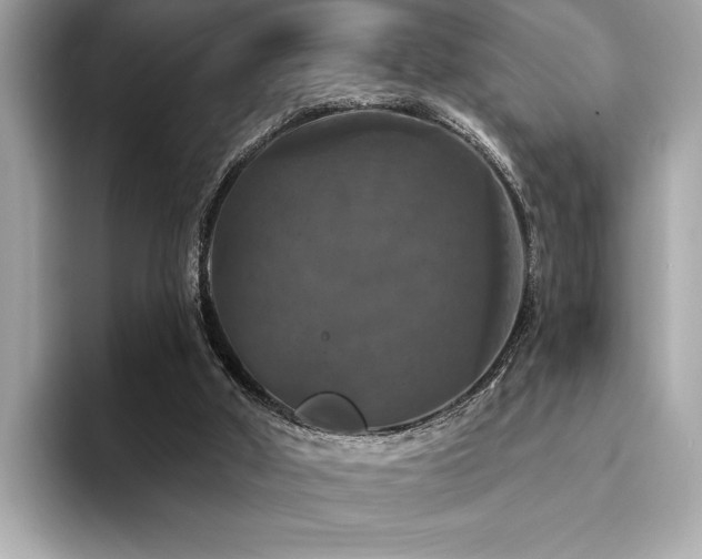 X0000093740010200710161147